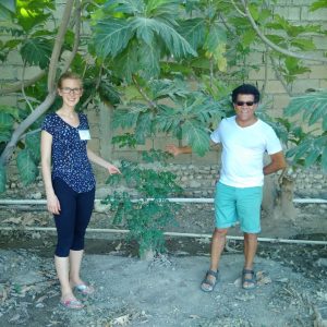 surrounded-by-a-breadfruit-tree-and-holding-the-branch-of-a-young-moringa-tree