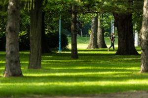 Park Walk