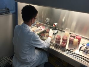 lab tech working under food hood