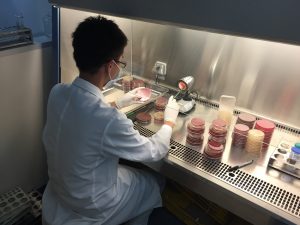 lab tech working under food hood
