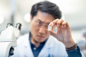 A chemist examines a test sample