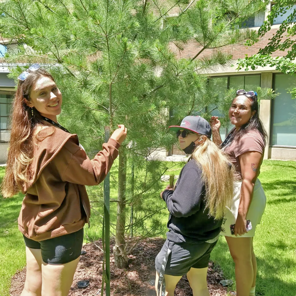 Youth participate in the Nikibii Dawadinna Giigwag Access Program