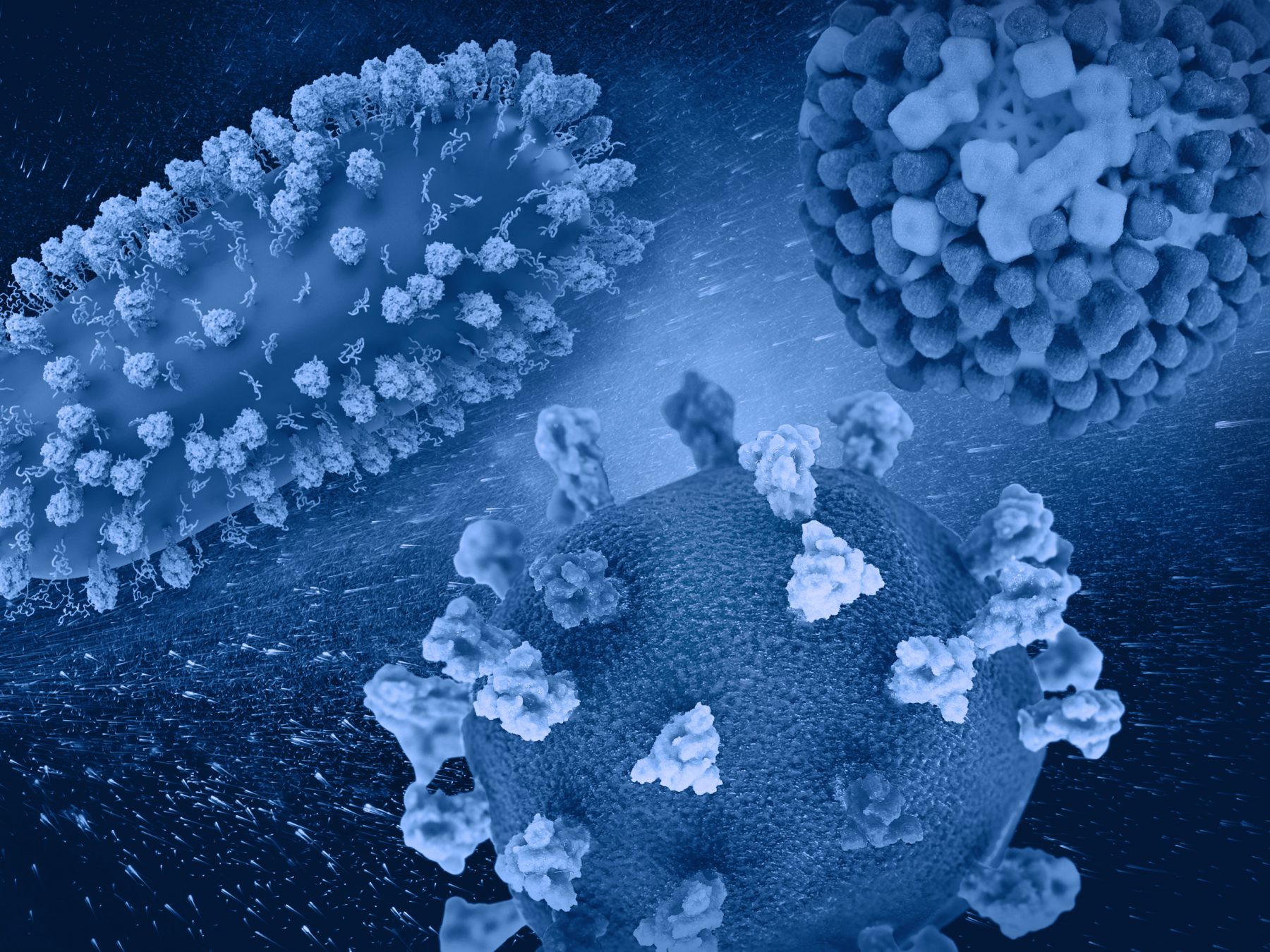 3D renditions of three dangerous respiratory viruses: RSV (top left), SARS-CoV-2 (bottom center), and flu (top right). Note: not to scale. Credit: NIAID