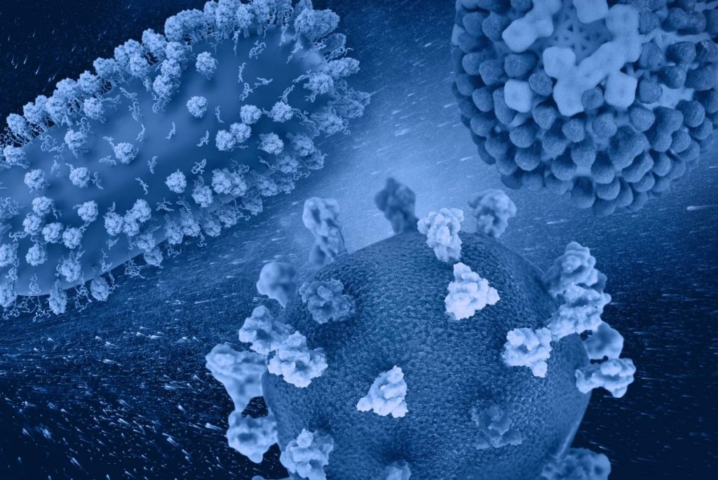 3D renditions of three dangerous respiratory viruses: RSV (top left), SARS-CoV-2 (bottom center), and flu (top right). Note: not to scale. Credit: NIAID